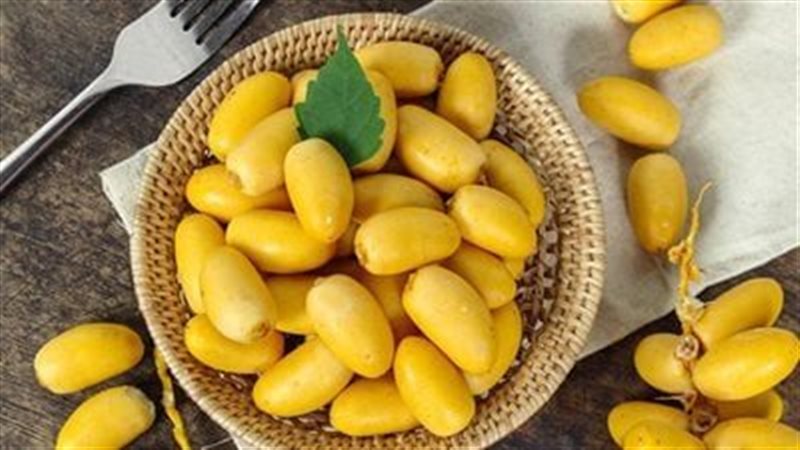 البلح الأصفر 