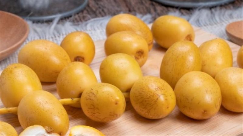 فوائد واضرار البلح