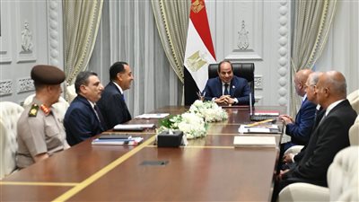 جرجوب وأبو قير أبرزها، السيسي يتابع مستجدات إنشاء وتشغيل وإدارة الموانئ