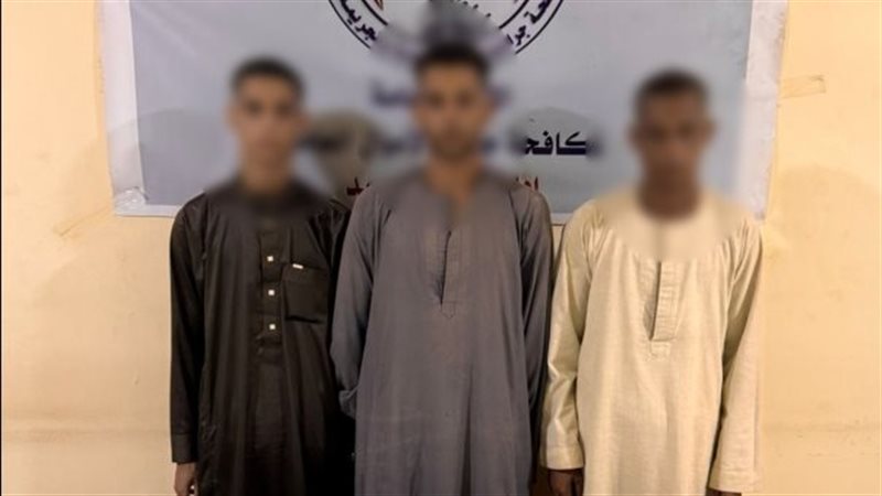 ضبط 3 عناصر إجرامية