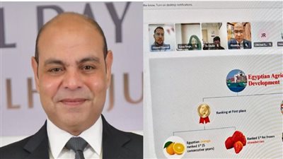 المكتب التجاري في نيودلهي يبحث نفاذ الرمان المصري إلى الأسواق الهندية