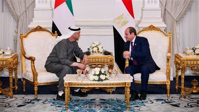 السيسي لـ بن زايد: حريصون على تذليل كافة العقبات أمام الاستثمارات الإماراتية في مصر