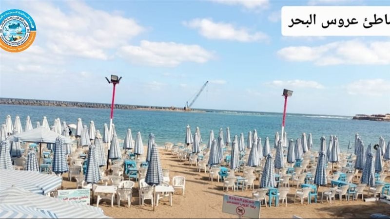الاسكندريه 