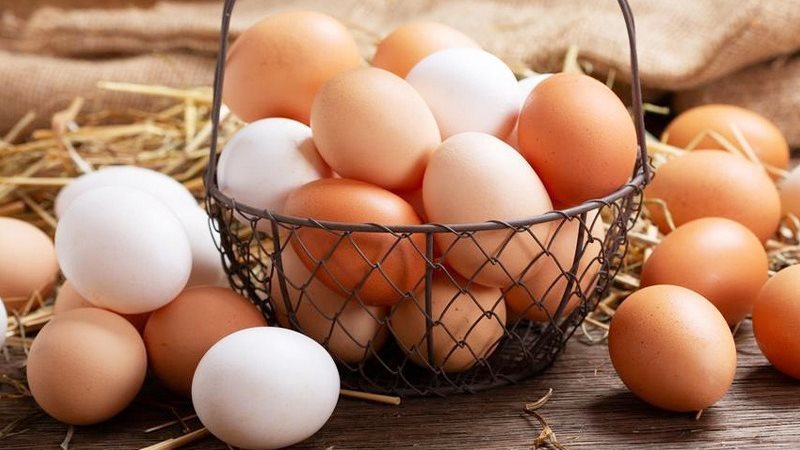 اسعار البيض، فيتو
