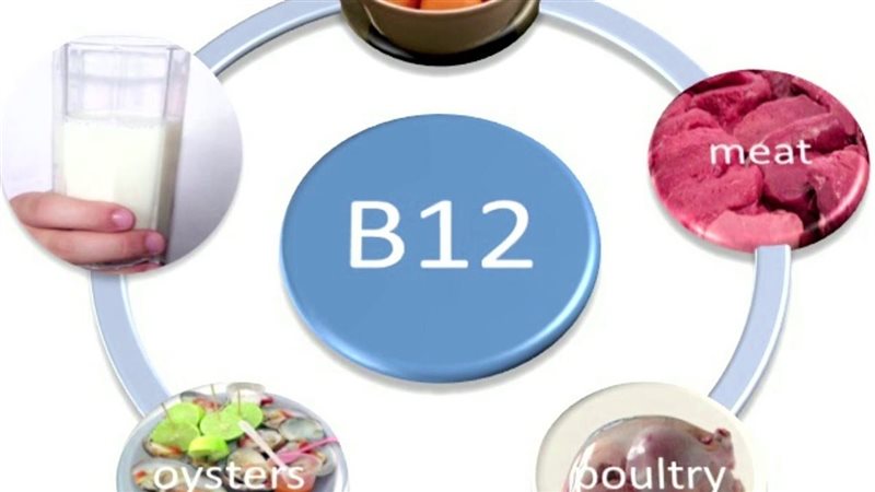 فوائد فيتامين b12