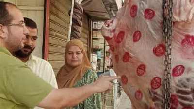 ضبط 100 كيلو لحوم وأسماك غير صالحة للاستهلاك الآدمي بالقليوبية