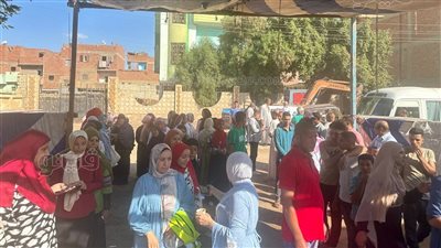 إقبال متوسط على لجان انتخابات الشيوخ في جولة الإعادة ببني سويف 