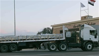 عبور 10 شاحنات مساعدات إماراتية معبر رفح متجهة إلى غزة