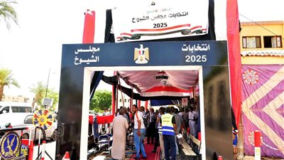 جولة الإعادة بانتخابات مجلس الشيوخ، محافظ الأقصر يتفقد لجان التصويت (صور)