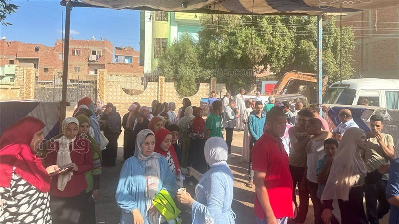 انتخابات اعادة الشيوخ