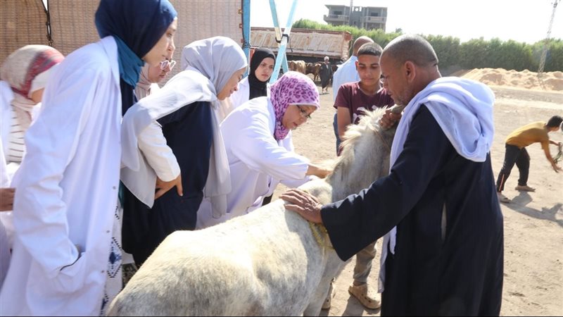 قافلة بيطرية، فيتو