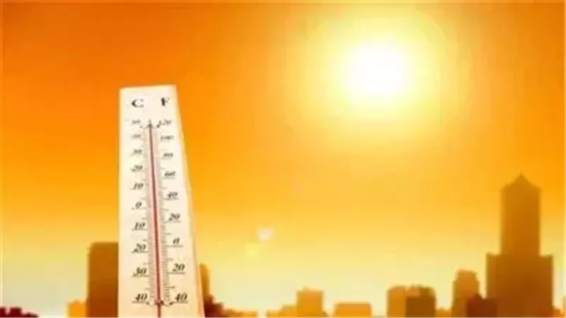 حالة الطقس غدا، فيتو