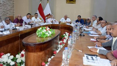 6 توجيهات من محافظ الوادي الجديد خلال اجتماع مجلس إدارة صندوق استصلاح الأراضي