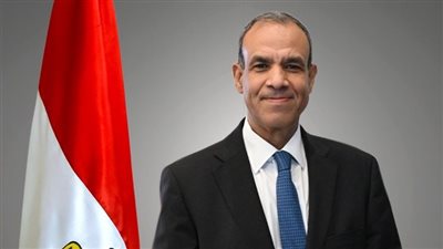 بدر عبد العاطي: من يستهدف المصالح المصرية خاسر وبائس