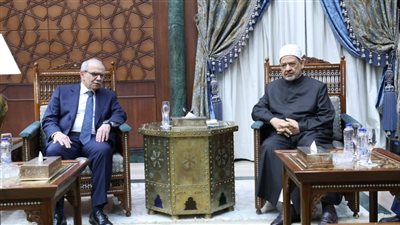شيخ الأزهر لرئيس وزراء لبنان: الوحدة هي السبيل لنهضة أمتنا وتقدمها 