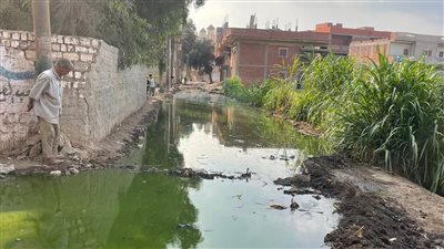 مياه الصرف الصحي تحاصر قرية خباطة بالغربية 