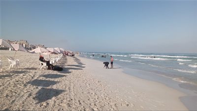 بعد رفع الرايات الصفراء، إقبال متوسط على شواطئ الإسكندرية (صور)