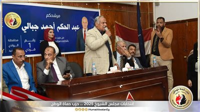 تعرف على عدد المصوتين بجولة الإعادة في انتخابات الشيوخ بالوادي الجديد 
