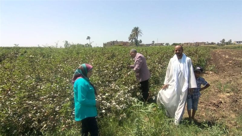 زراعة أسيوط تتابع