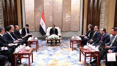 رئيس الوزراء: الدولة توفر الكثير من المزايا والحوافز للمستثمرين الأجانب والمحليين