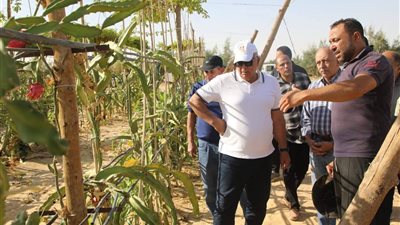 محافظ الوادي الجديد يتابع نجاح زراعة فاكهة الدراجون بالفرافرة 