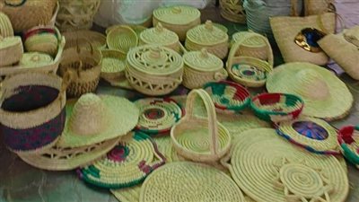 12 عارضا من الفيوم يشاركون في معرض