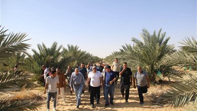 على مساحة 6900 فدان، الزملوط يتفقد مشروعات إنتاج أصناف التمور المتميزة بالفرافرة 