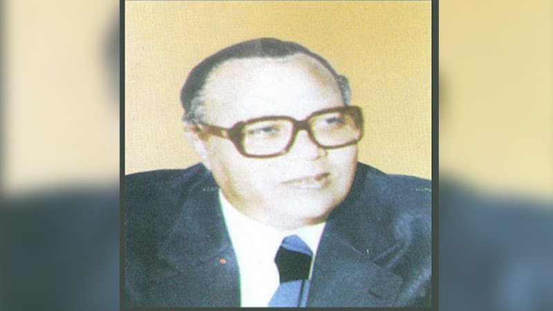 محمد كامل ليلة، فيتو