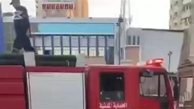 الحماية المدنية بالشرقية تنقذ قطة من الغرق ببحر مويس (فيديو)