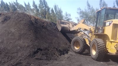 إزالة 10 مكامير فحم مخالفة في حملة بيئية بالبحيرة 