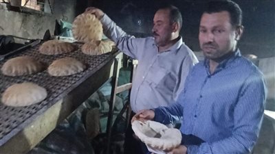 تحرير 176 مخالفة بالمخابز وضبط 2.5 طن سكر ودواجن ومصنعات لحوم غير صالحة بالدقهلية (صور)