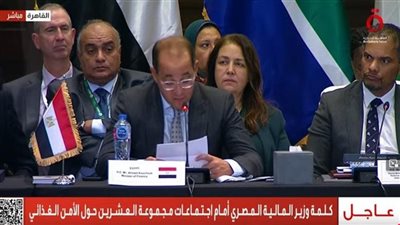 وزير المالية: مصر تخصص 20% من الميزانية لملف الأمن الغذائي كل عام