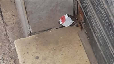 تشميع مغسلتين غير مرخصتين في الإسماعيلية (صور)