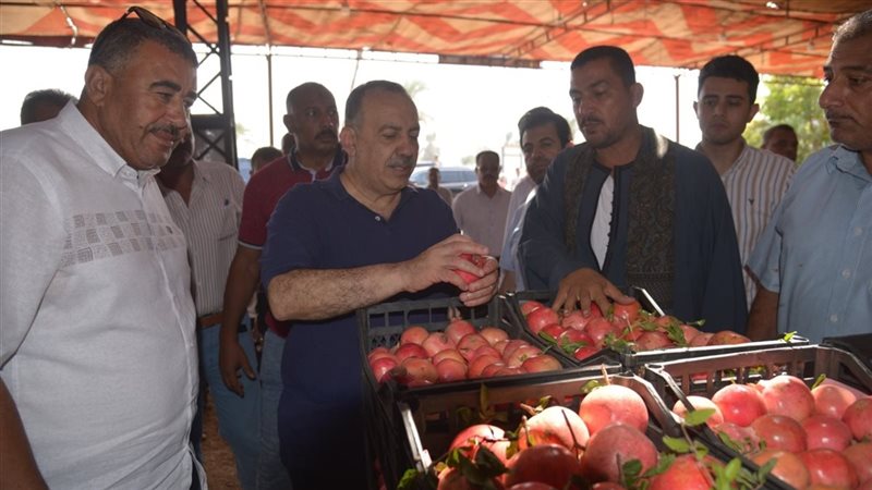 محافظ أسيوط يتفقد