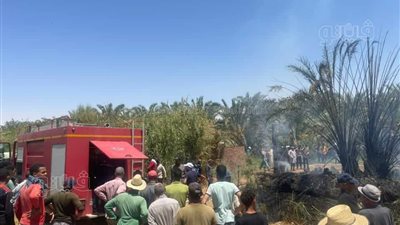 الحماية المدنية تخمد حريقا نشب بمزرعة نخيل بالوادي الجديد