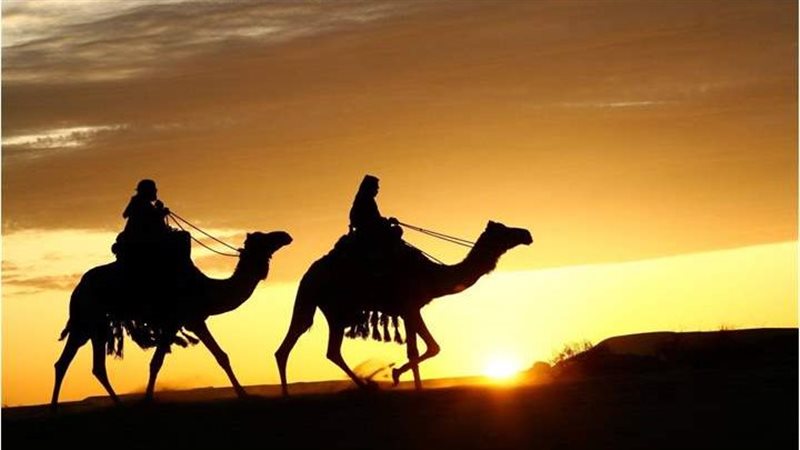 خطورة التطاول على