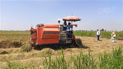 نحافظ على صحتنا، محافظ بورسعيد يحذر المزارعين من حرق القش حفاظًا على البيئة (فيديو وصور)