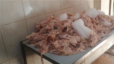 التحفظ على 2.35 طن دواجن مجهولة المصدر بشبرا الخيمة