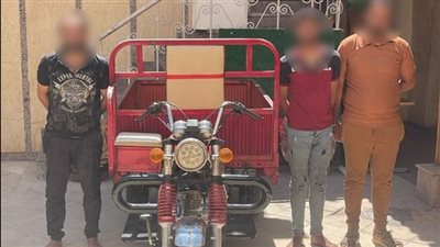 مقطع فيديو عن استغاثة سيدة يقود الشرطة لضبط تشكيل عصابى للسرقة في بورسعيد 