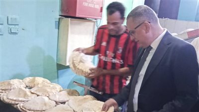 تحرير 265 مخالفة تموينية لأصحاب مخابز في الدقهلية