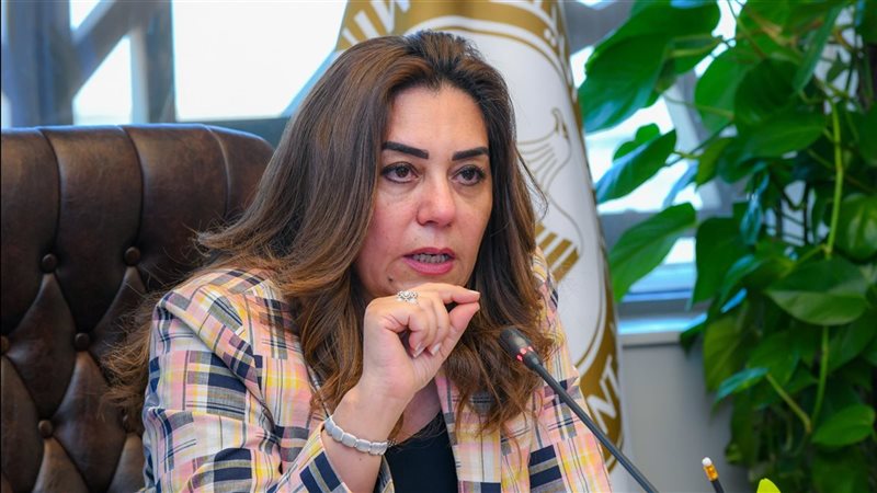 القائم بأعمال وزيرة