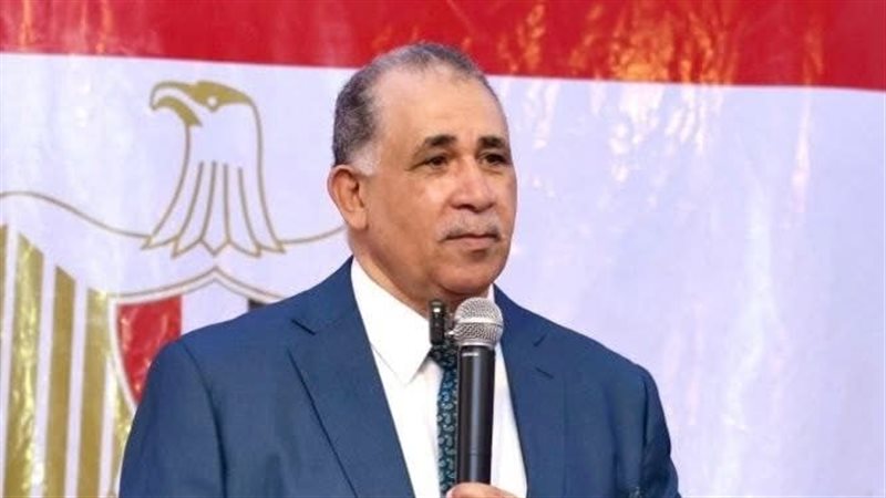 نقيب المحامين، فيتو