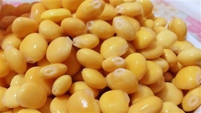 الترمس، لتقوية المناعة وتحسين صحة البشرة والشعر