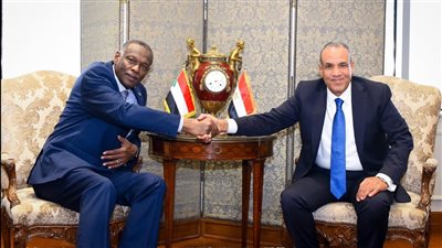 تفاصيل لقاء وزير الخارجية بنظيره السوداني