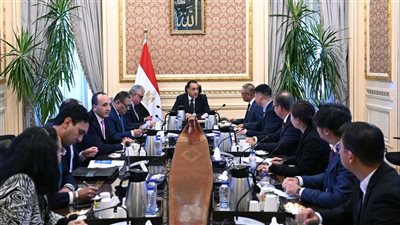 مدبولي يطلب مقترحًا متكاملًا من 