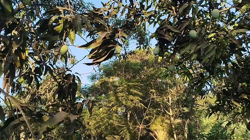 عمرها 106 عاما، جنينة