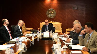 الرقابة المالية توافق على تسجيل 4 مشروعات خفض طوعي للكربون 