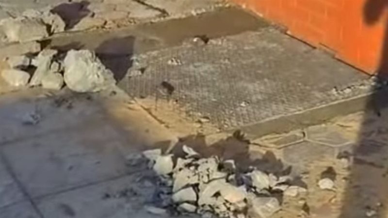 كوبري استانلي، فيتو