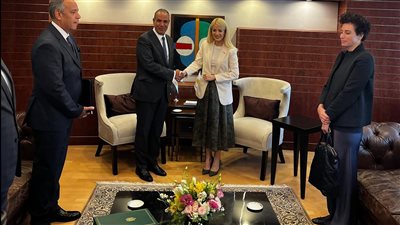 تفاصيل لقاء وزير الخارجية مع رئيسة مجلس النواب القبرصية 