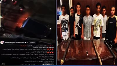  القبض على 7 أشخاص بتهمة الاعتداء على كلب ودهسه بتوك توك في المعادي (فيديو)